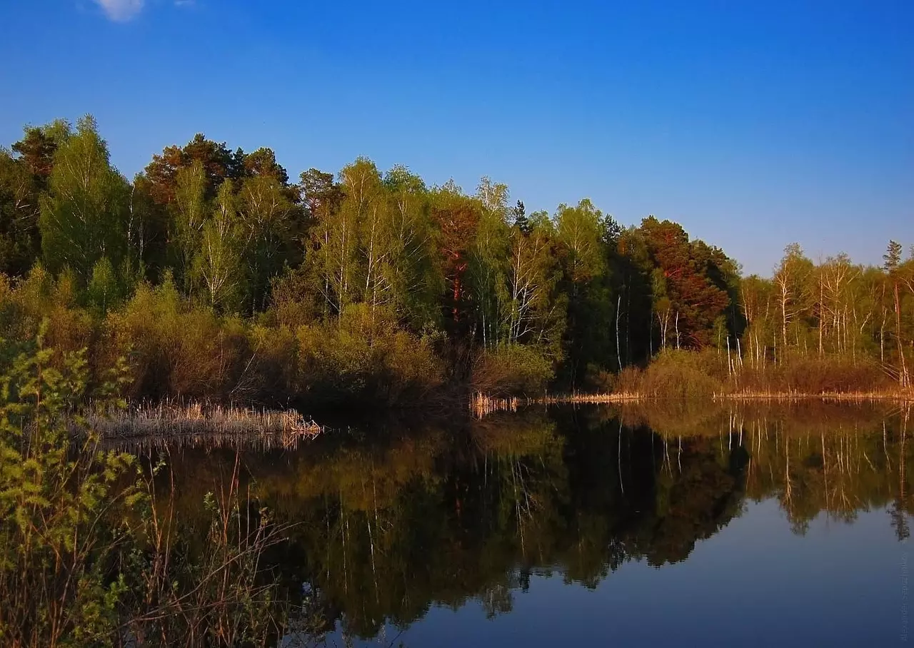 Челябинский городской бор