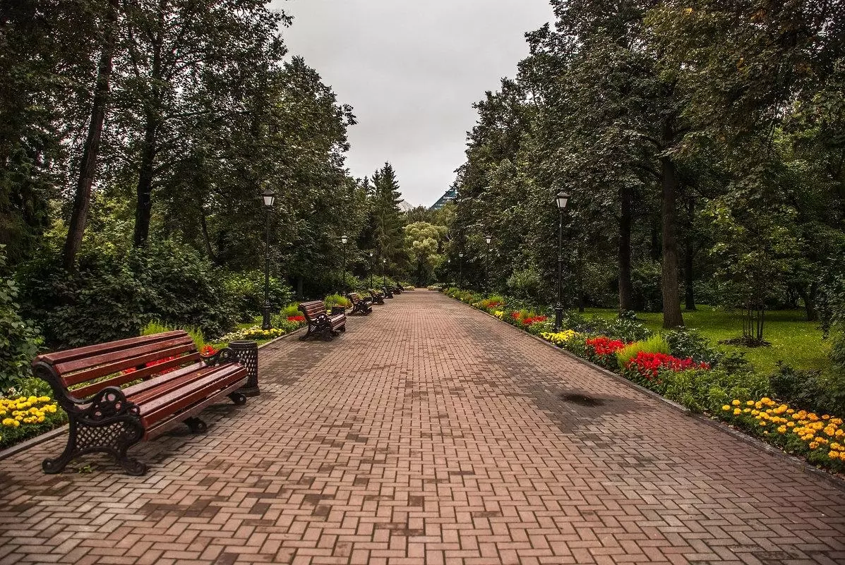 Дендрологический парк