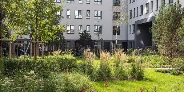 Парки