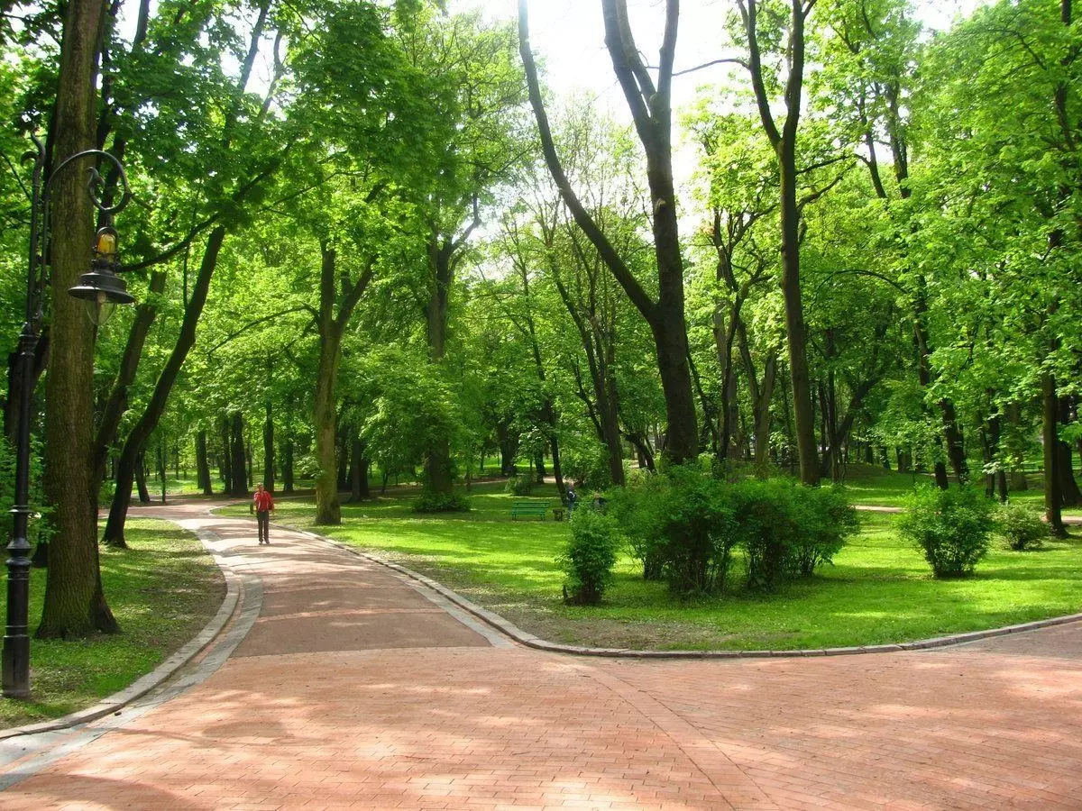 Парки